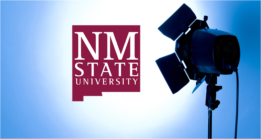 Spotlight on the NMSU logo